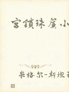 宫锁珠帘小说