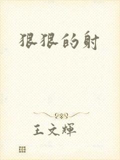 狠狠的射