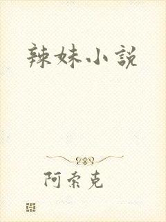 辣妹小说封面