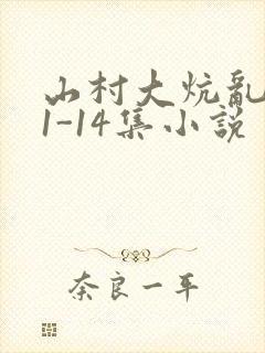 山村大炕乱肉续1-14集小说
