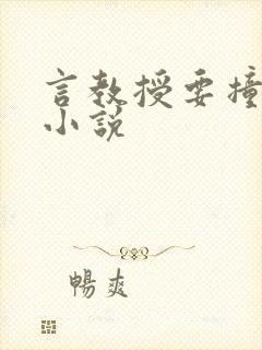 言教授要撞坏了小说