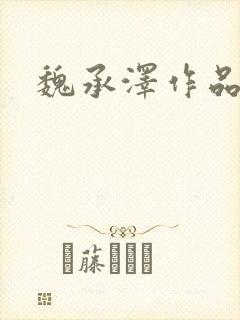 魏承泽作品封面