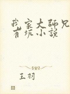 我家大师兄脑子有坑小说封面