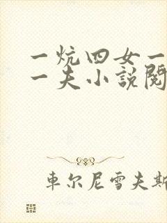 一炕四女一共侍一夫小说阅读