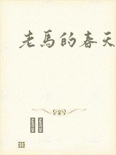 老马的春天敏静封面