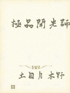 极品开光师