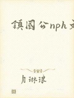 镇国公nph文封面