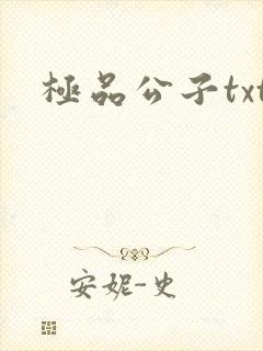 极品公子txt
