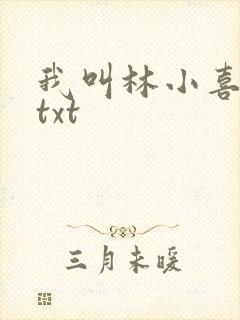 我叫林小喜小说txt