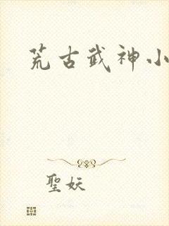 荒古武神小说