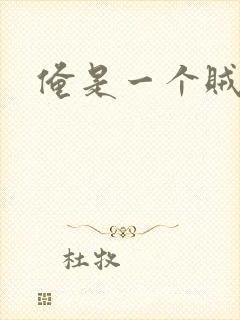 俺是一个贼封面
