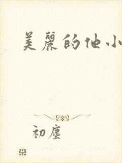 美丽的他小说