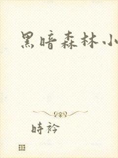 黑暗森林小说封面