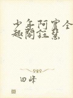 少年阿宾全文笔趣阁钰慧封面
