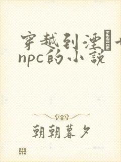 穿越到湮婸世界npc的小说