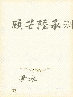 顾芒陆承洲