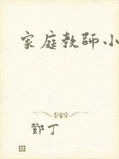 家庭教师小说封面