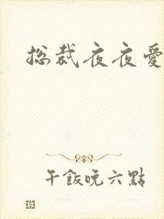 总裁夜夜爱