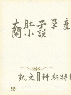 大肚子孕产笔趣阁小说封面