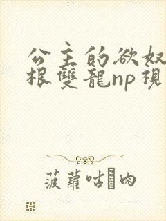 公主的欲奴h四根双龙np视频