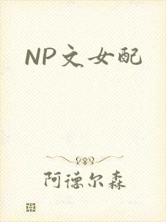 NP文女配封面