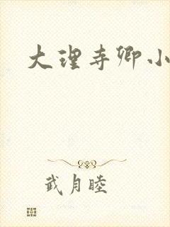 大理寺卿小说