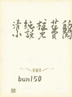 清纯校花的秘密小说免费阅读