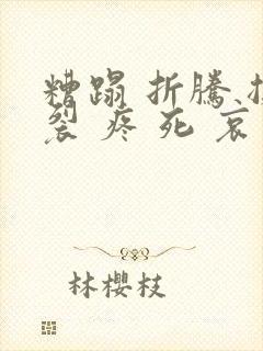 糟蹋 折腾 撕裂 疼 死 哀求封面
