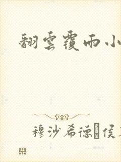 翻云覆雨小说