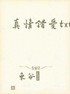 真情错爱txt