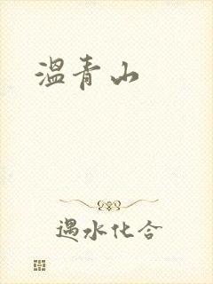 温青山封面