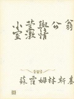 小莹与公翁办公室激情