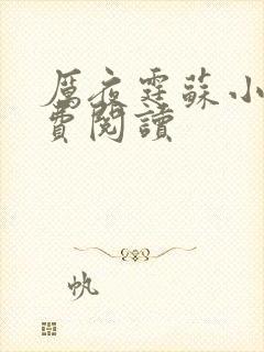 厉夜霆苏小汐免费阅读封面