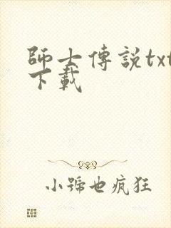 师士传说txt下载