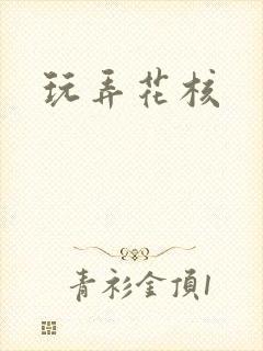 玩弄花核