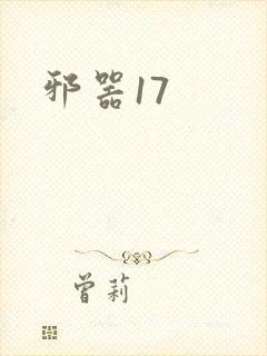 邪器17封面