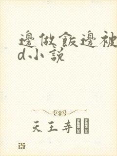 边做饭边被躁bd小说封面