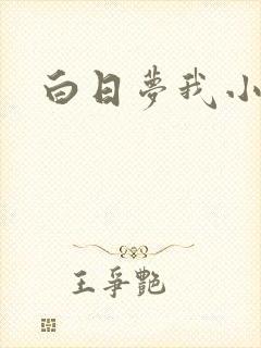 白日梦我小说