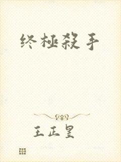 终极杀手