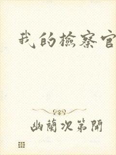 我的检察官先生