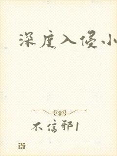 深度入侵小说