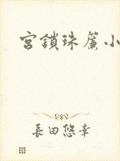 宫锁珠帘小说