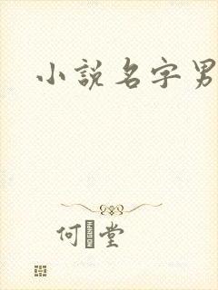 小说名字男生