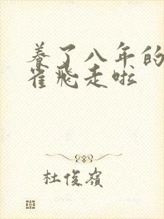 养了八年的金丝雀飞走啦封面
