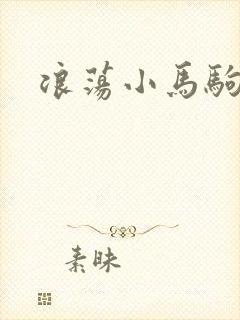 浪荡小马驹封面
