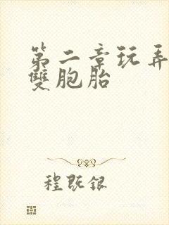 第二章玩弄校花双胞胎封面