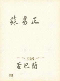 苏易正封面
