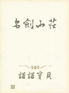 名剑山庄封面
