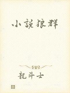 小说狼群