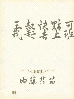王叔快点可以吗我赶去上班